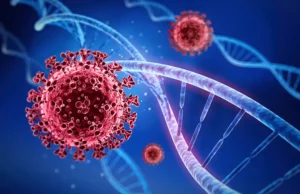 How Does a Virus Work, contact us, Farlite Solutions 