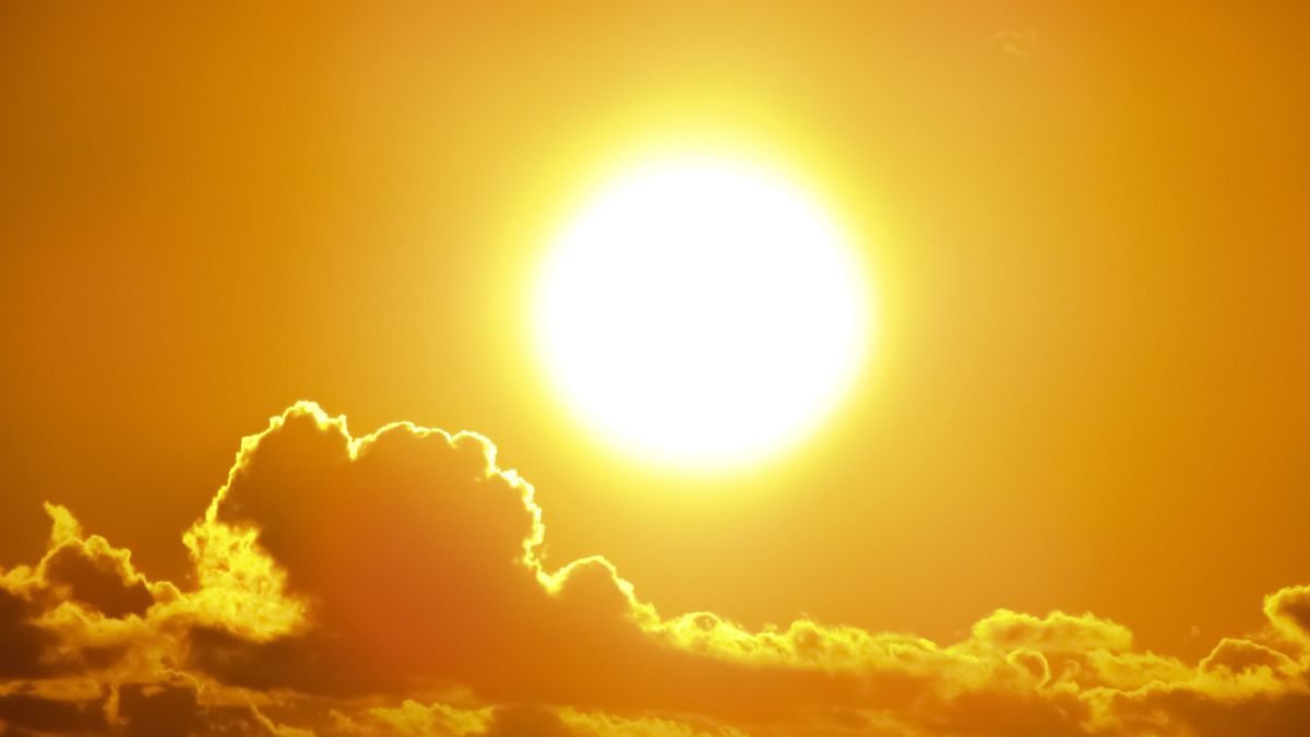 What are the Different Types of UV Light?